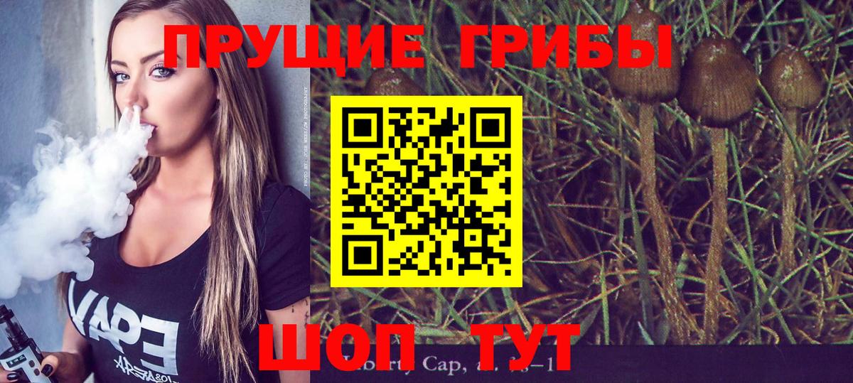 хочу   Вход с VPN  Усть-Джегута  Псилоцибиновые грибы ЛСД  Галлюциногенные грибы мухоморы 